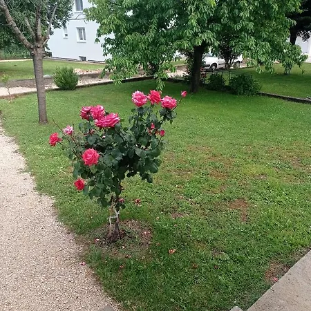 Penzion Casa Del Pellegrino M&a - Ostojici