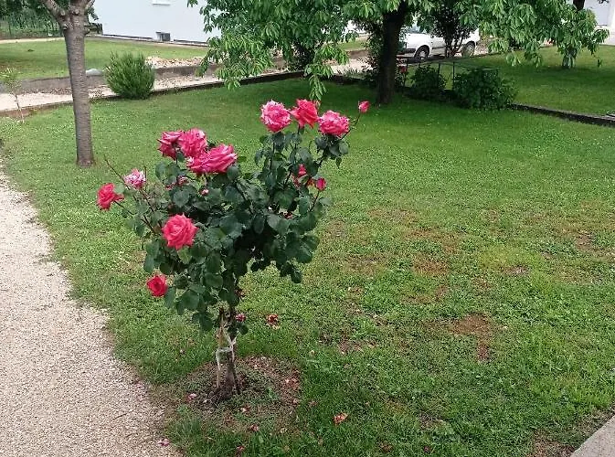 Pensionat Casa Del Pellegrino M&a - Ostojici